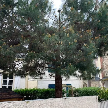 Maison De Pecheur Pour 8 Jardin Parking Centre